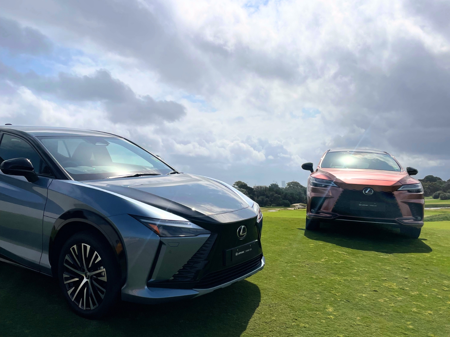 Two Lexus vehicles parked on a golf course.