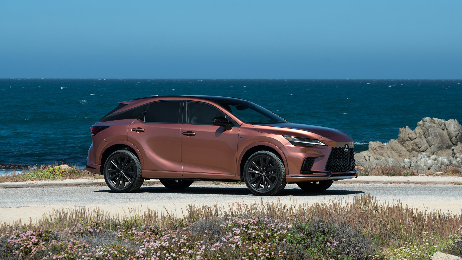 A copper colored RX parked on an ocean road. 