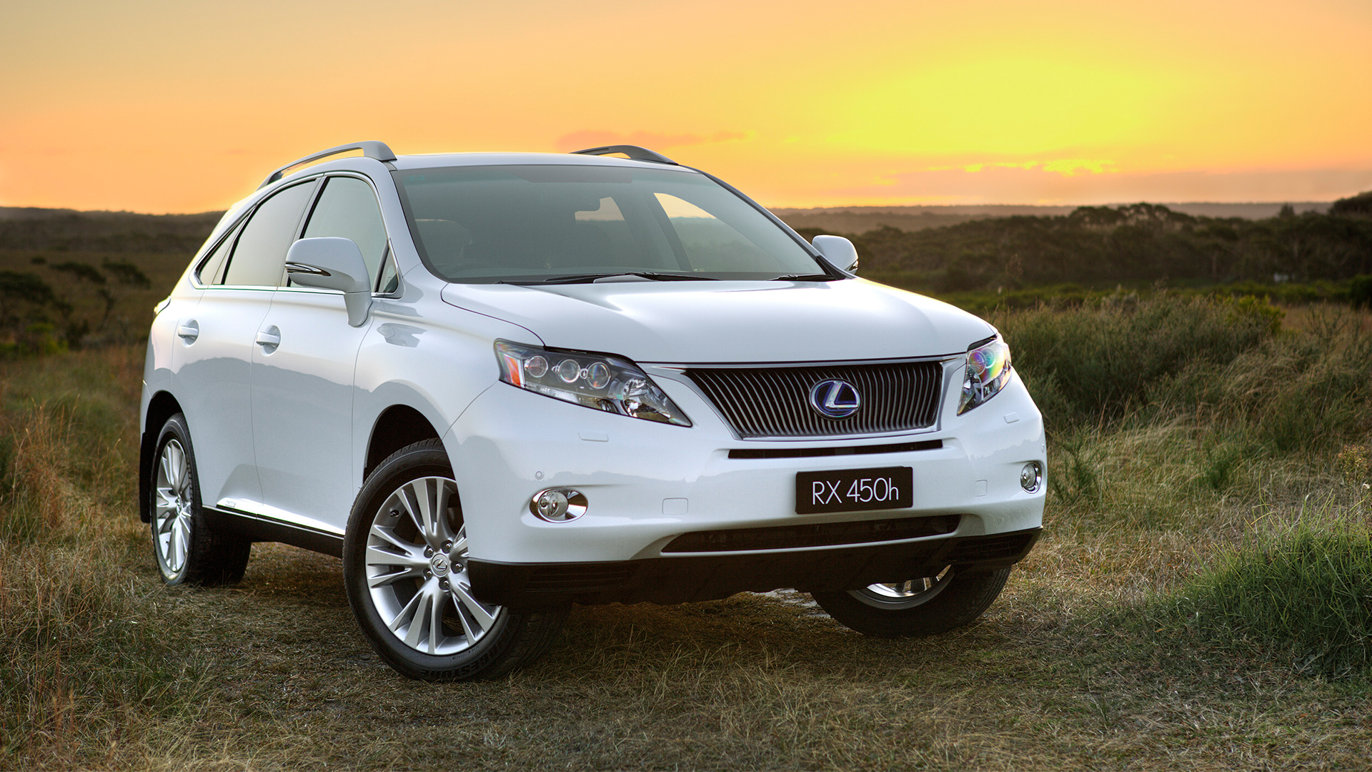 A white Lexus RX 450h from 2009 parked on grassland during sunset
